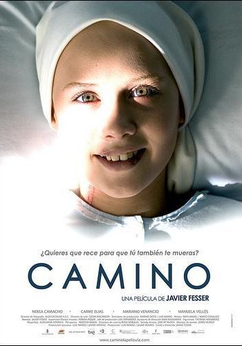 camino-996322995-large